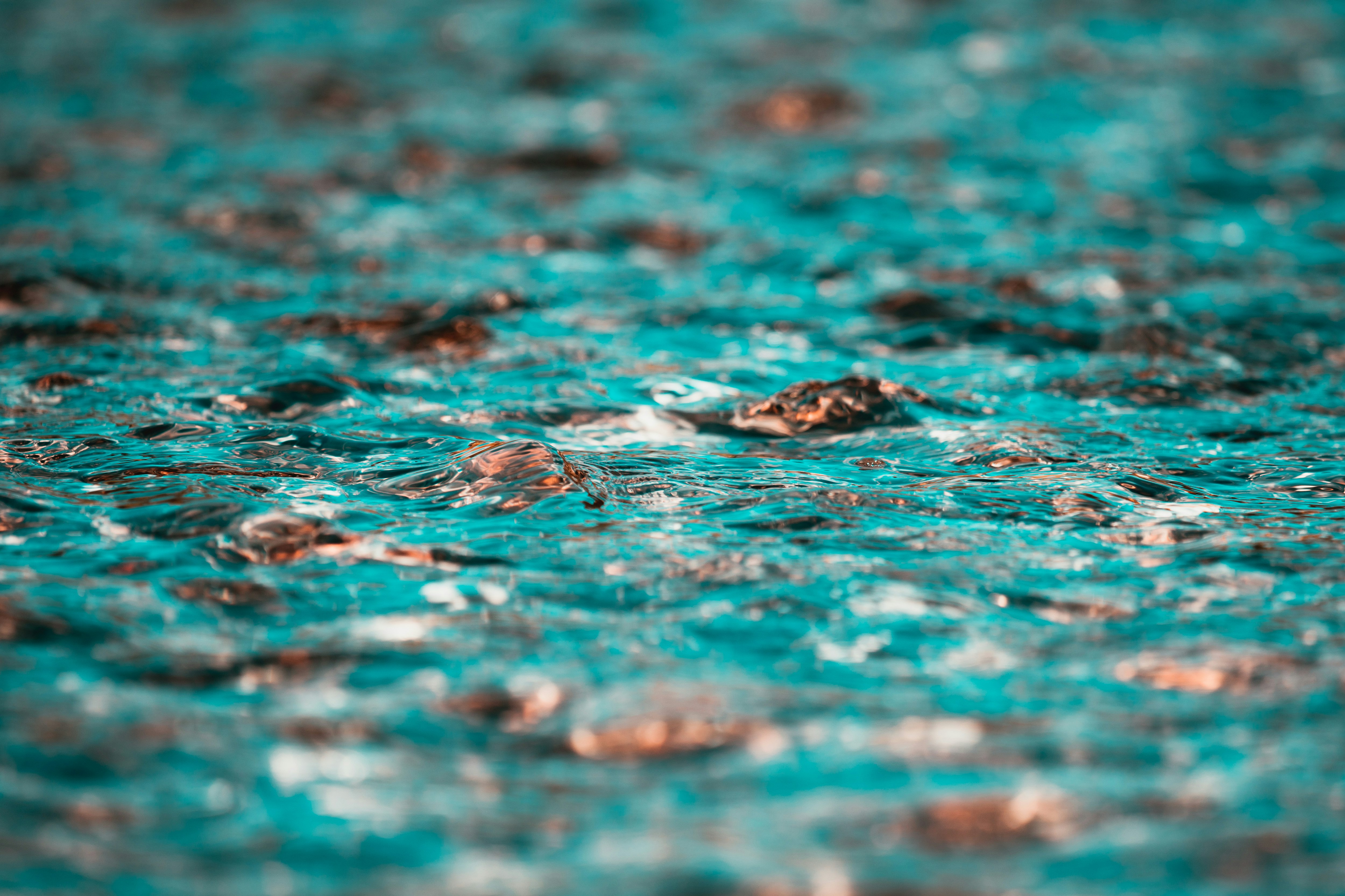 water droplets on brown leaf in tilt shift lens